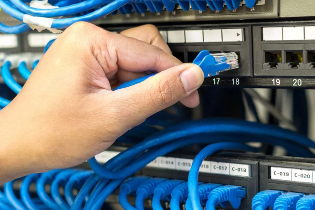 Blue network cables plugged into a patch panel